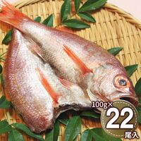 島根 「出雲干し」 のどぐろ開き詰合せ（100g(2尾入)×11） / 冷凍 送料無料 干物 赤ムツ