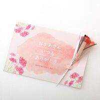 母の日限定ミニタルトセット 9個入 / 冷凍 送料無料 タルト ケーキ スイーツ ギフト プレゼント