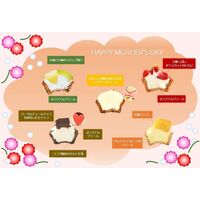 母の日限定ミニタルトセット 9個入 / 冷凍 送料無料 タルト ケーキ スイーツ ギフト プレゼント