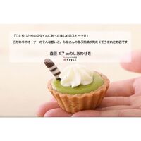 母の日限定ミニタルトセット 9個入 / 冷凍 送料無料 タルト ケーキ スイーツ ギフト プレゼント