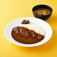 松屋 オリジナルカレー10食セット / 冷凍 送料無料 即日出荷可 カレー