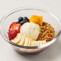 冷凍グリークヨーグルト / 冷凍 送料無料 ギフト ヨーグルト 北海道