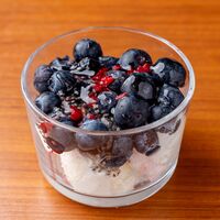 冷凍グリークヨーグルト2個セット / 冷凍 送料無料 ギフト ヨーグルト 北海道