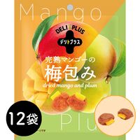 完熟マンゴーの梅包み（12袋入） / 常温 送料無料 干し梅 おやつ
