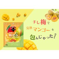 完熟マンゴーの梅包み（12袋入） / 常温 送料無料 干し梅 おやつ