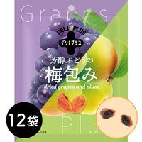 芳醇ぶどうの梅包み（12袋入） / 常温 送料無料 干し梅 おやつ