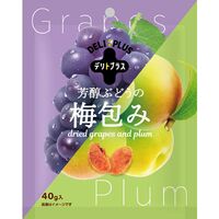 芳醇ぶどうの梅包み（12袋入） / 常温 送料無料 干し梅 おやつ