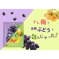 芳醇ぶどうの梅包み（12袋入） / 常温 送料無料 干し梅 おやつ