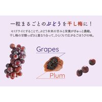 芳醇ぶどうの梅包み（12袋入） / 常温 送料無料 干し梅 おやつ
