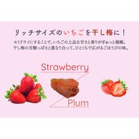 贅沢いちごの梅包み（12袋入） / 常温 送料無料 干し梅 おやつ