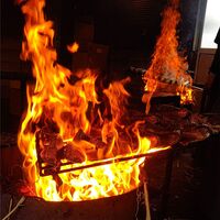 土佐流 藁焼き鰹のたたき 1本セット / 冷凍 送料無料 かつお カツオ ギフト 高知