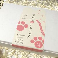 こねこのしおちゃん10個入り / 冷凍 送料無料 お菓子 ねこ 猫 ギフト
