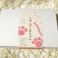こねこのしおちゃん10個入り / 冷凍 送料無料 お菓子 ねこ 猫 ギフト