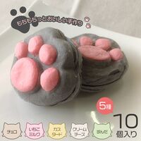 くろねこのしおちゃん10個入り / 冷凍 送料無料 お菓子 ねこ 猫 ギフト