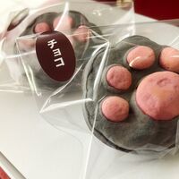 くろねこのしおちゃん10個入り / 冷凍 送料無料 お菓子 ねこ 猫 ギフト