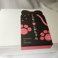 くろねこのしおちゃん10個入り / 冷凍 送料無料 お菓子 ねこ 猫 ギフト