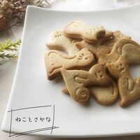 ねことさかな4種セット / 常温 送料無料 クッキー セット 詰め合わせ ねこ 猫 おつまみ