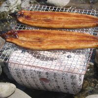 四万十味紀行 うなぎの蒲焼 2尾 / 冷凍 送料無料 鰻 ウナギ かば焼き ギフト 高知