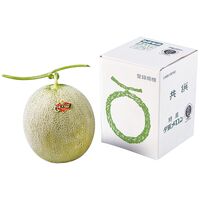 【お中元】北海道産 夕張メロン1玉≪供給期間：2026/7/1～2026/7/20≫ / 常温 送料無料 メロン