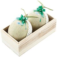 【お中元】静岡県産 マスクメロン2玉 木箱入≪供給期間：2026/7/1～2026/7/25≫ / 常温 送料無料 メロン セット