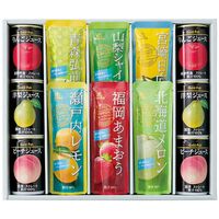 【お中元】涼甘 凍らせて楽しむ日本の果実ギフト RK-C≪供給期間：2026/6/16～2026/8/3≫ / 常温 送料無料 ジュース シャーベット 詰め合わせ セット