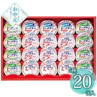 【お中元】はごろもフーズ シーチキンギフト SET-50B≪供給期間：2026/6/16～2026/8/3≫ / 常温 送料無料 詰め合わせ セット