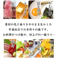 松炭塩 10袋 / 常温 送料無料 塩 フレーバーソルト