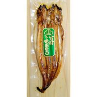 【上代厳守】国産焼きあなご真空パック（大）×30 / 冷蔵 送料無料 穴子 大容量