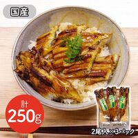 【上代厳守】【国産】焼きあなご真空パック 250g 紙箱 下村商店 / 冷蔵 送料無料 穴子 ギフト プレゼント