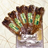 【上代厳守】【国産】焼きあなご真空パック 450g 紙箱 下村商店 / 冷蔵 送料無料 穴子 ギフト プレゼント