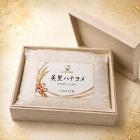 【上代厳守】美里ハナヨメ 3kg / 常温 送料無料 米 無洗米 ひとめぼれ ギフト お祝い