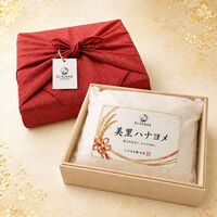【上代厳守】美里ハナヨメ 3kg / 常温 送料無料 米 無洗米 ひとめぼれ ギフト お祝い