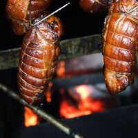 鹿児島黒豚炭焼き焼豚 200g×5P / 冷蔵 送料無料 焼豚