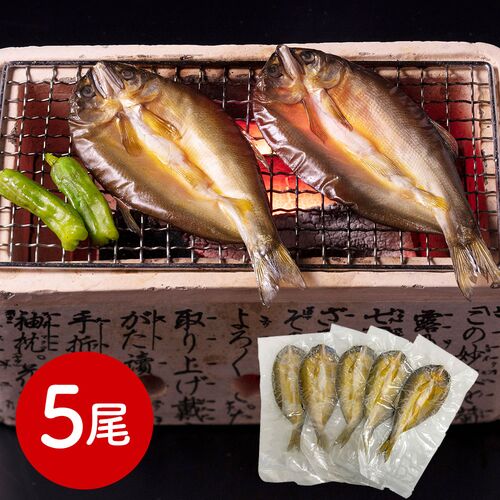 岐阜 創業明治10年 「鵜舞屋」 鮎一夜干し5尾