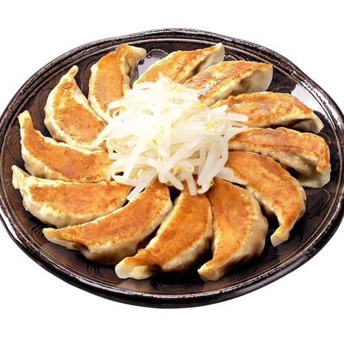 静岡 「五味八珍」 浜松餃子4袋セット