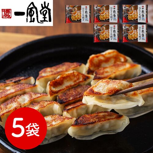 福岡 「博多一風堂」 博多ひとくち餃子（5袋）
