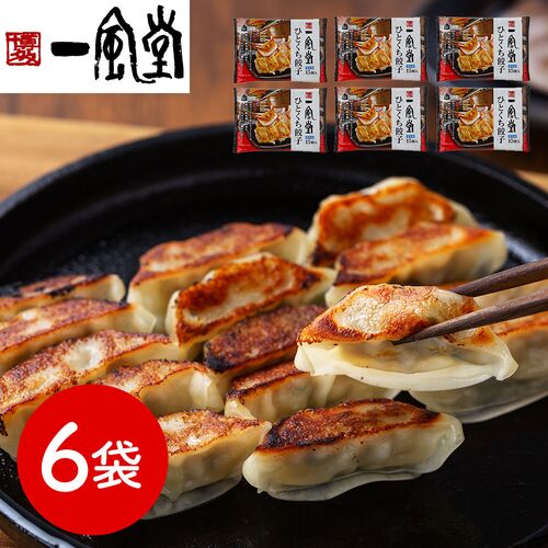 福岡 「博多一風堂」 博多ひとくち餃子（6袋）