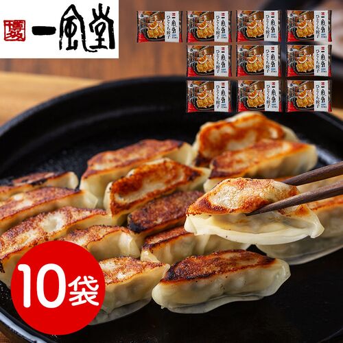 福岡 「博多一風堂」 博多ひとくち餃子（10袋）
