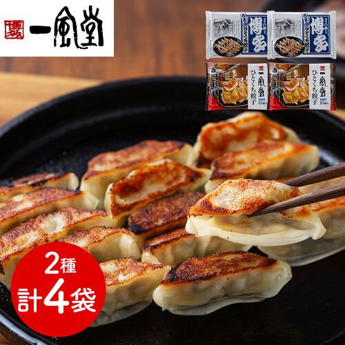 「一風堂」＆「博多八助」 監修 ひとくち餃子セット（2種計4袋）