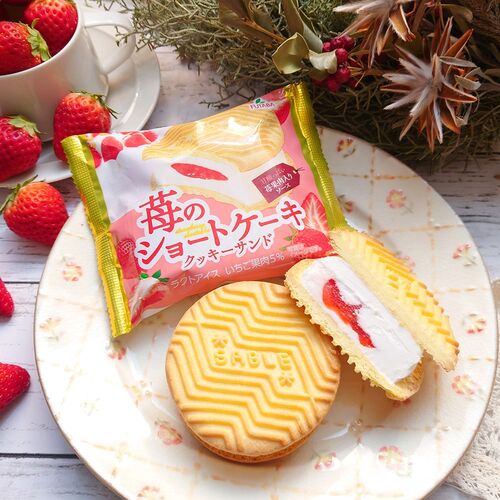 【シイレル限定！】 7種の贅沢アイス詰め合わせセット (全13個)