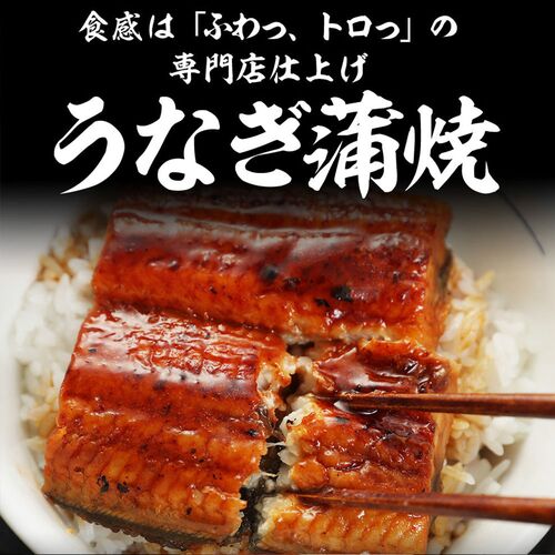 松屋 カット鰻20人前
