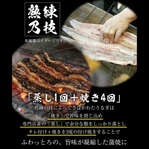 松屋 カット鰻20人前