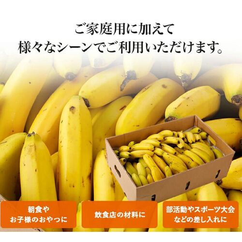 【業務用】 訳あり甘熟王バナナ 約15kg