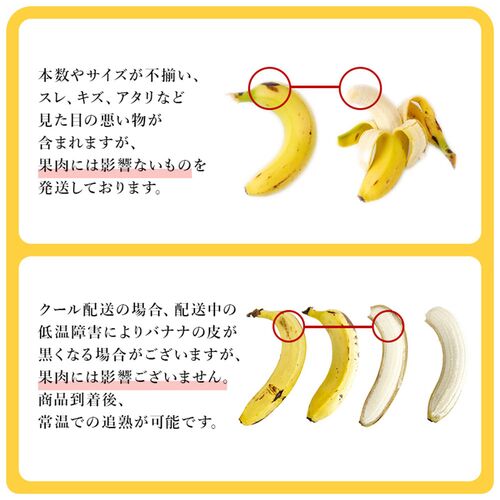 【業務用】 訳あり甘熟王バナナ 約15kg【業務用】 訳あり甘熟王バナナ 約15kg