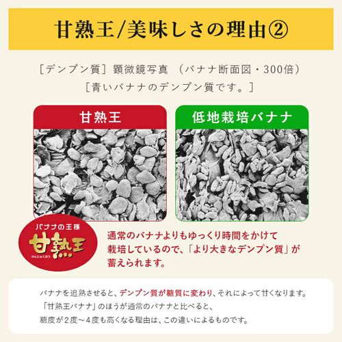 【業務用】 訳あり甘熟王バナナ 約15kg