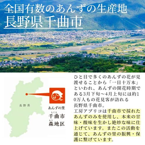 セミドライあんず 4袋 / ドライフルーツ 国産 アプリコット 送料無料 ポスト投函