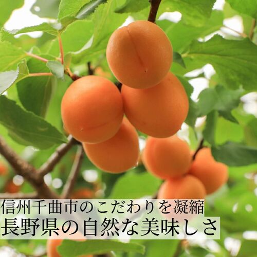 セミドライあんず 4袋 / ドライフルーツ 国産 アプリコット 送料無料 ポスト投函