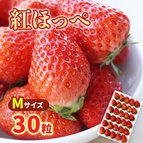 【期間限定】紅ほっぺ Mサイズ(30粒) ≪お届け期間：2025/1/7～2025/6/30≫