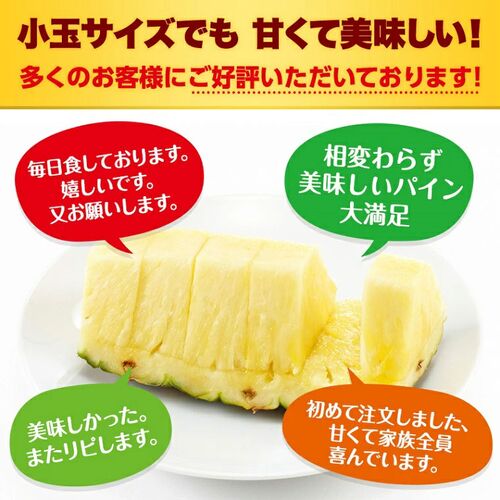 【業務用】パイナップル 小玉 20玉 約14kg 甘熟王パイン / 送料無料 フルーツ 果物
