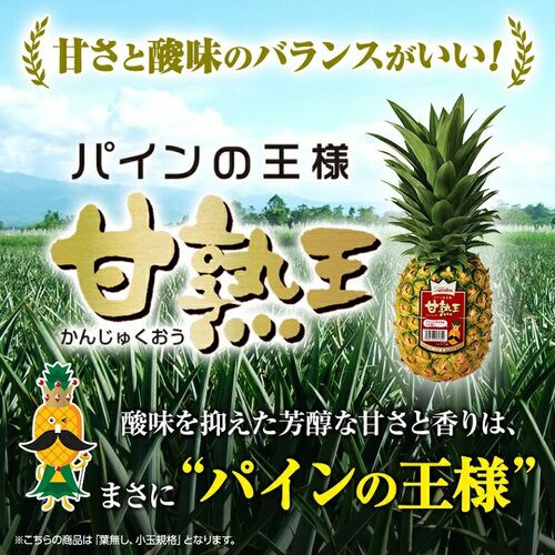 【業務用】パイナップル 小玉 7玉 約5kg 甘熟王パイン / 送料無料 フルーツ 果物
